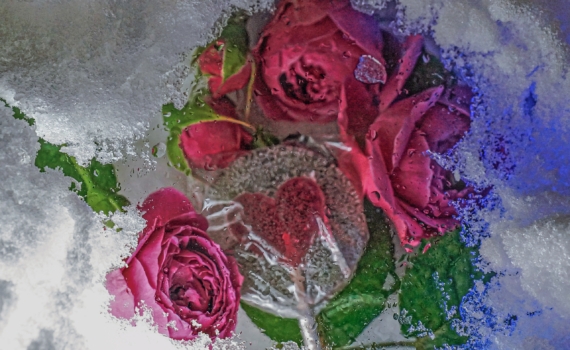 Три зимних месяца — три коня любви и страсти: что ждёт Ваш знак на маршруте неожиданных поворотов