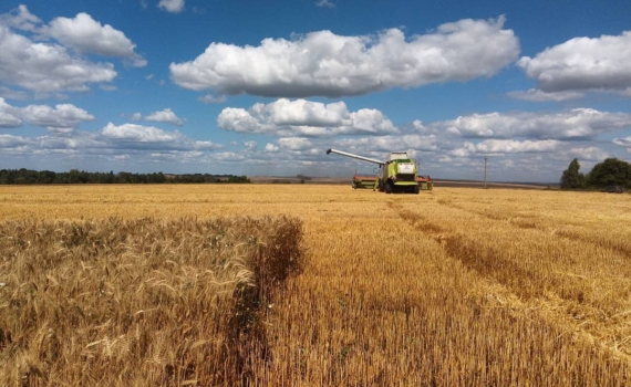 20 тысяч санкций и ноль эффекта: отечественный АПК стал главным кормильцем мира 20 тысяч санкций и ноль эффекта: отечественный АПК стал главным кормильцем мира
